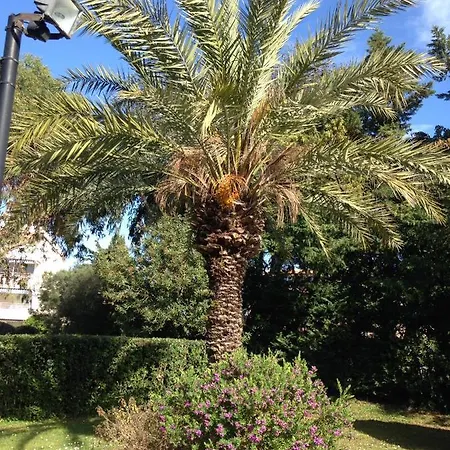 Eden Tropez Apartamento *